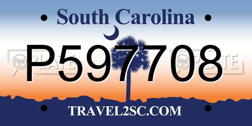 P597708 South Carolina License Plate