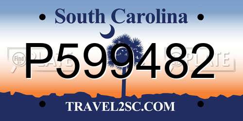 P599482 South Carolina License Plate