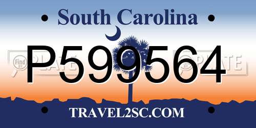 P599564 South Carolina License Plate