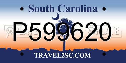 P599620 South Carolina License Plate