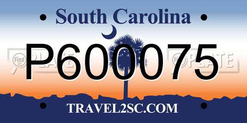 P600075 South Carolina License Plate