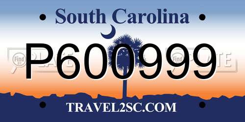 P600999 South Carolina License Plate