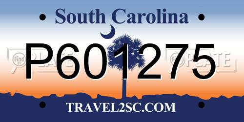 P601275 South Carolina License Plate