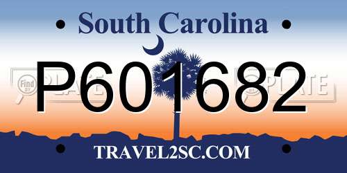 P601682 South Carolina License Plate