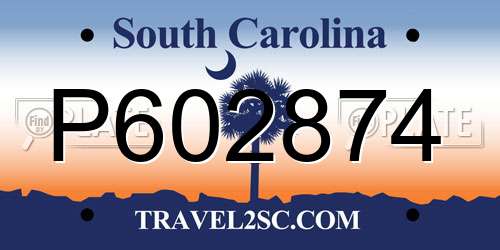 P602874 South Carolina License Plate
