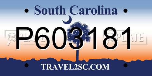 P603181 South Carolina License Plate