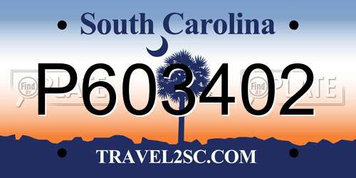 P603402 South Carolina License Plate