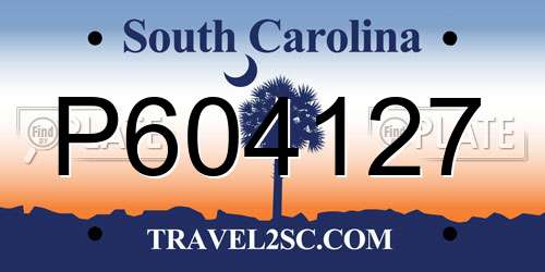 P604127 South Carolina License Plate