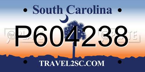 P604238 South Carolina License Plate