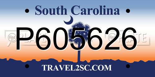 P605626 South Carolina License Plate