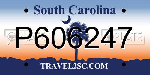 P606247 South Carolina License Plate