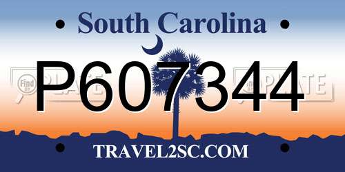 P607344 South Carolina License Plate