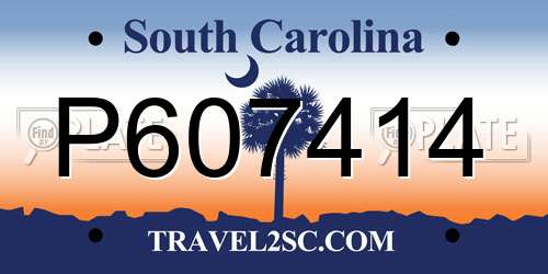 P607414 South Carolina License Plate