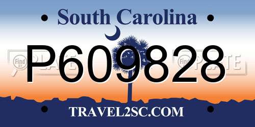 P609828 South Carolina License Plate