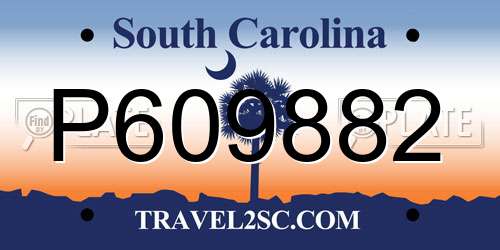 P609882 South Carolina License Plate