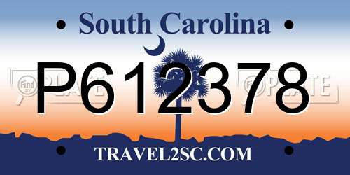 P612378 South Carolina License Plate