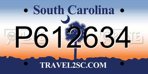 P612634 South Carolina License Plate