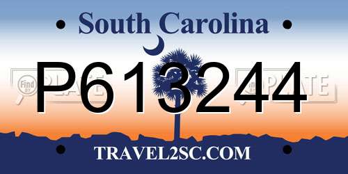 P613244 South Carolina License Plate