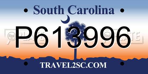 P613996 South Carolina License Plate