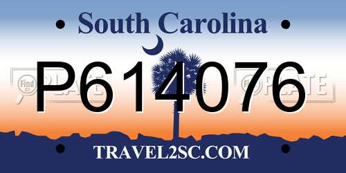 P614076 South Carolina License Plate
