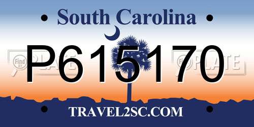 P615170 South Carolina License Plate