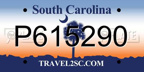 P615290 South Carolina License Plate