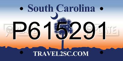 P615291 South Carolina License Plate