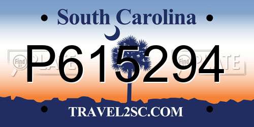 P615294 South Carolina License Plate