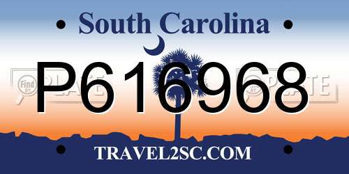 P616968 South Carolina License Plate
