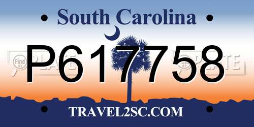 P617758 South Carolina License Plate