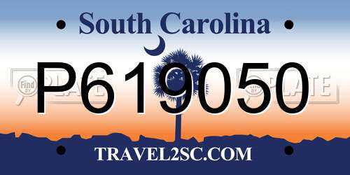 P619050 South Carolina License Plate