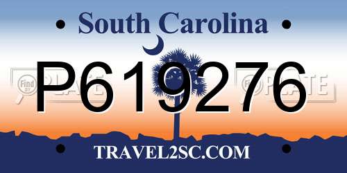 P619276 South Carolina License Plate