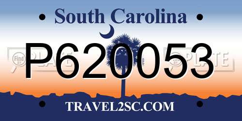 P620053 South Carolina License Plate