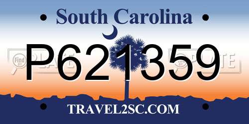 P621359 South Carolina License Plate