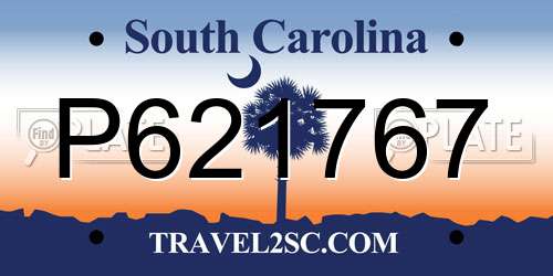 P621767 South Carolina License Plate
