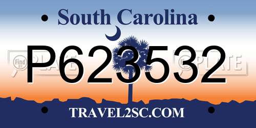 P623532 South Carolina License Plate