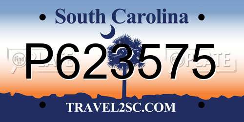 P623575 South Carolina License Plate