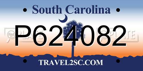 P624082 South Carolina License Plate