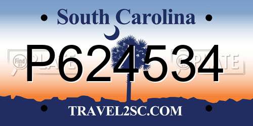 P624534 South Carolina License Plate