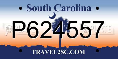 P624557 South Carolina License Plate