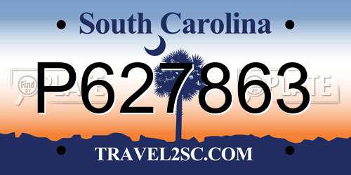 P627863 South Carolina License Plate