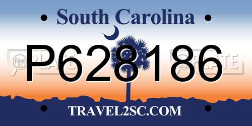 P628186 South Carolina License Plate