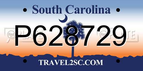P628729 South Carolina License Plate