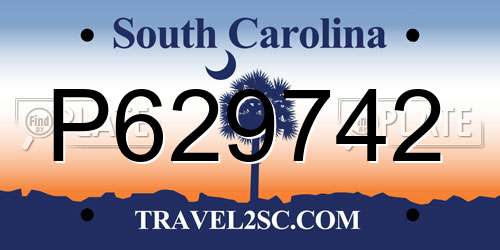 P629742 South Carolina License Plate
