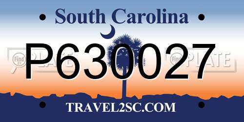 P630027 South Carolina License Plate