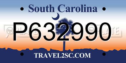 P632990 South Carolina License Plate