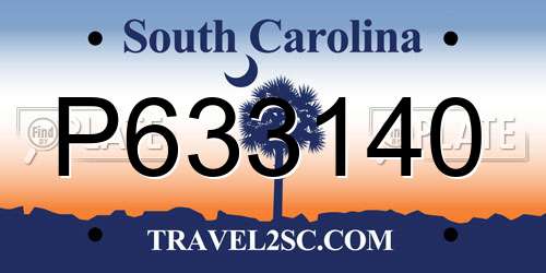 P633140 South Carolina License Plate