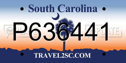P636441 South Carolina License Plate