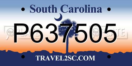 P637505 South Carolina License Plate