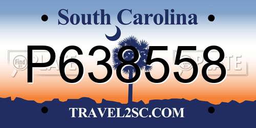 P638558 South Carolina License Plate